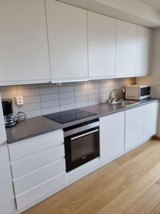Apartment Velkommen Til Kaldnes Brygge *